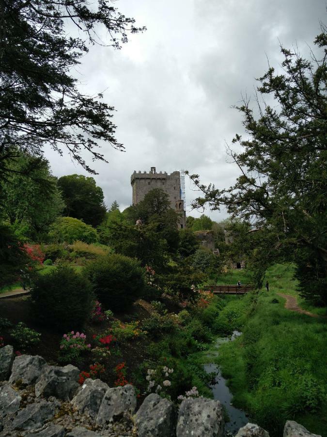 بلارني Foxhollow House المظهر الخارجي الصورة